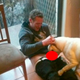 Image for article titled What We Talk About When We Talk About A Dog Blowing An Australian Rugby Player (NSFW)